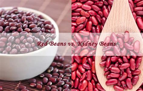 Swamp Magic Red Kidney Beans: A Staple Ingredient in Cajun and Creole Cooking